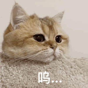 色欲久久一区二区高清精品
