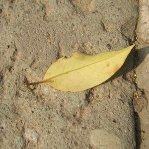 色欲久久一区二区高清精品
